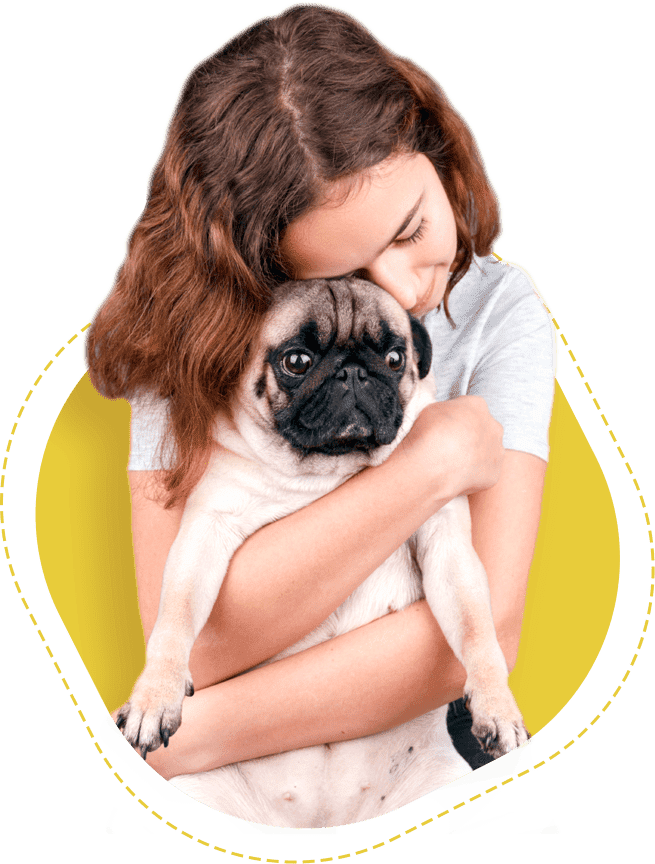 Cachorro felizinho
